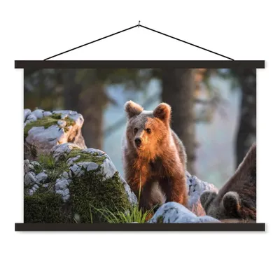 Produktbild von MuchoWow® Textilposter Bär - Braun - Tier 150x100 cm mit schwarzem Rahmen - Schlafzimmer