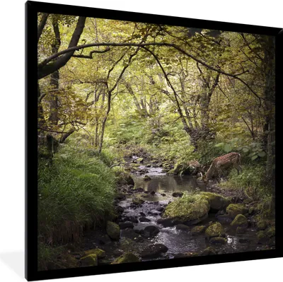 Produktbild von MuchoWow® Gerahmtes Poster Hirsch - Baum - Wald 40x40 cm - Poster mit Schwarzem Bilderrahmen Wandposter Rahmen Foto Bilder - Mit Rahmen - Wanddekoration Schlafzimmer
