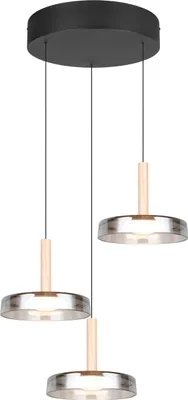 Produktbild von TRIO-Leuchten Pendelleuchte CELESTE DH 35x200 cm schwarz Hängelampe
