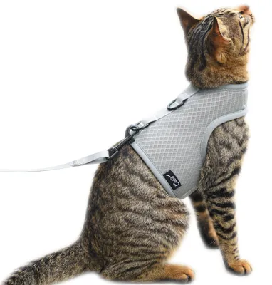 Image de Harnais et laisse pour chats, conçus pour éviter les fugues, avec un filet respirant