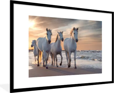 Produktbild von MuchoWow® MuchoWow® Gerahmtes Poster Pferde - Sonne - Strand - Meer 90x60 cm - Poster mit zchwarzem Bilderrahmen - Wanddekoration - Fotos