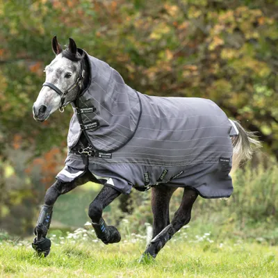 Image de Horseware Amigo Bravo 12 Reflectech Plus Turnout 100g Grey/Reflective & Black, Größe:6'6