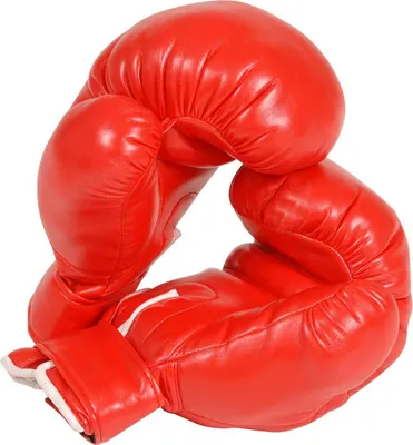Produktbild von Professionelle Boxhandschuhe rot