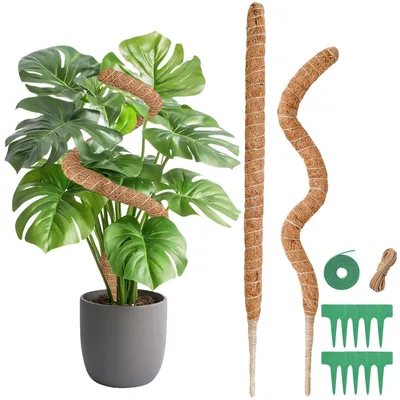 Produktbild von Solidchoice - Monstera-Moosstab für Pflanzen - 2 Stück, 60 cm Kletterhilfe für Zimmerpflanzen