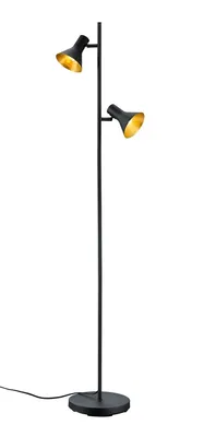 Zdjęcie produktu dla Lampa stojąca podłogowa NINA czarny RL R40162002