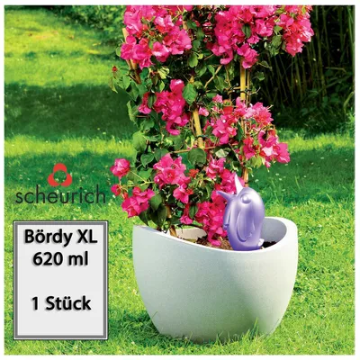 Obrázok produktu pre Scheurich vodný zásobník Bördy XL | 1 kus, fialová farba | objem 620 ml | malá zavlažovacia guľa s keramickou základňou | zásobník na vodu pre rastliny a kvety, terakota