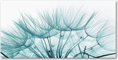 Produktbild von Tulup® Glas-Bild - 100x50 -Wandkunst - Wandbild hinter gehärtetem Sicherheitsglas  - Blumen & Pflanzen - Pusteblume - Weiß