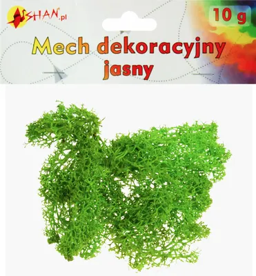 Produktbild von Dekorative Moosleuchte 10g Shan