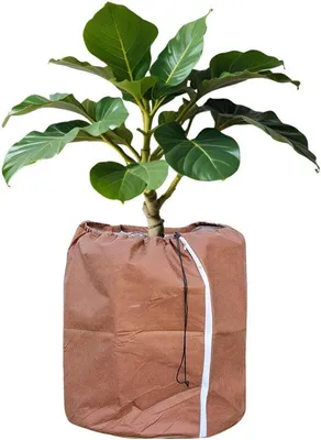 Produktbild von Winterbeschermzak für Pflanzen, Schutz für Topfpflanzen, mit Seilzug, Größe 50 x 80 cm