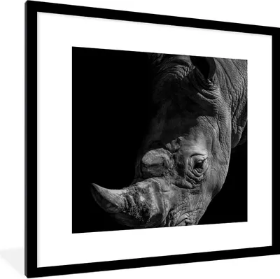 Produktbild von MuchoWow® Gerahmtes Poster Nahaufnahme eines Nashorns auf schwarzem Hintergrund 40x40 cm - Poster mit Schwarzem Bilderrahmen Wandposter Rahmen Foto Bilder - Poster - Plakat im Rahmen