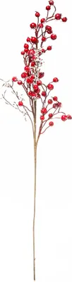 Produktbild von Zweig Rote Beeren 73 cm