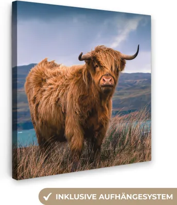Produktbild von MuchoWow® - Leinwandbilder - Schottische Highlander - Himmel - Natur, Wandbild, Wanddeko Bilder Wohnzimmer, 50x50 cm