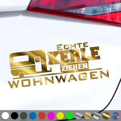 Produktbild von PantherPixel Echte Kerle Aufkleber Bus Camper Wohnmobil Wohnwagen Sticker Auto Geschenkidee Farbe Chrom-Gold