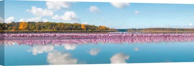 Obrázek produktu pro Obraz na plátně, fotografie, plameňáci, Camargue, Francie - 120x40 cm