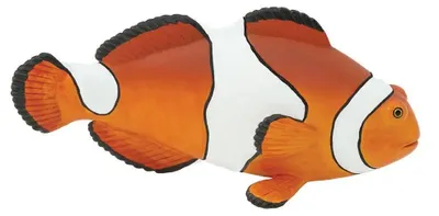 Immagine prodotto di Toob Safari Incredibili Creature Clown Anemonenfisch Miniatur (Mehrfarbig)