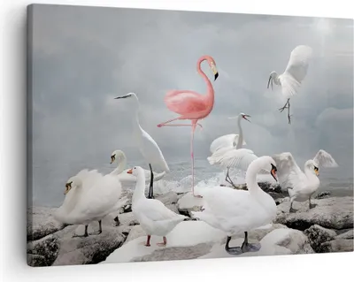 Produktbild von Bild auf Leinwand - Leinwandbild - Einteilig - Flamingo Schwan Fantasie - 70x50cm - Wand Bild - Wanddeko - Wandbilder - Leinwanddruck - Bilder - Wanddekoration - Leinwand bilder - AA70x50-4929