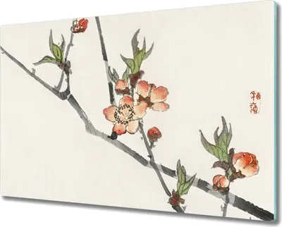 Produktbild von Coloray Küchenbrett Kochplattenabdeckung Hackbrett Schneidebrett Herdabdeckplatte 80x52 cm - Branchen Blumen Natur