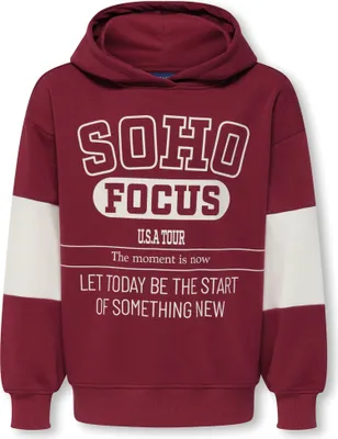 Produktbild von Only & Sons Cater Kapuzenpullover Kinder