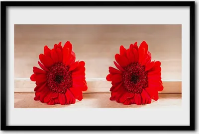 Produktbild von Bild 60x40 MDF-Rahmen Wandkunst Blumen Pflanzen