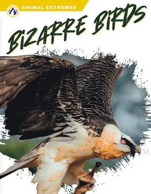Immagine prodotto di Bizarre Birds