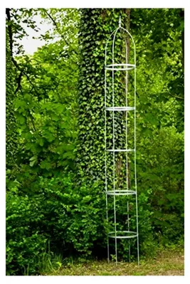 Produktbild von Rankgerüst aus verzinktem Metall, Höhe: 300 cm, Durchmesser: 40 cm, 10 mm Volleisen