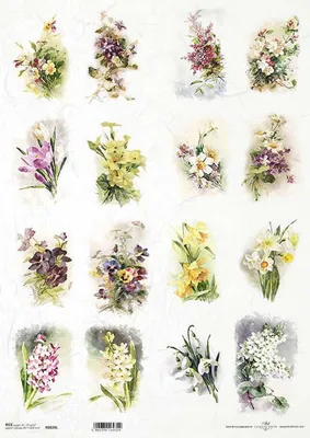 Image de ITD Papier de riz découpage papier de bricolage, A3 R0820L Fleurs de printemps