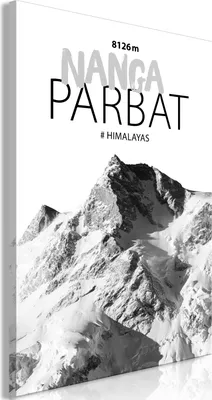 Produktbild von Vlies Leinwandbild - Nanga Parbat (1 Part) Vertical 40x60 cm Landschaften c-A-0150-b-a