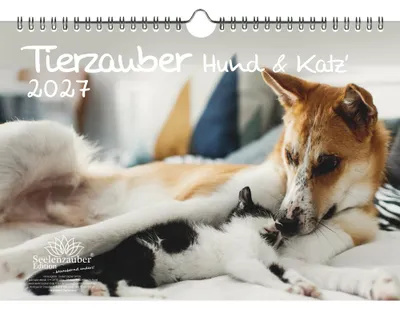 Produktbild von Tierzauber Hund und Katz DIN A4 Kalender für 2027 Freundschaften Hund Katze - Seelenzauber
