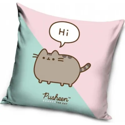 Obrázek produktu pro Povlak Kočička Pusheen Já Košišta 40x40 cm