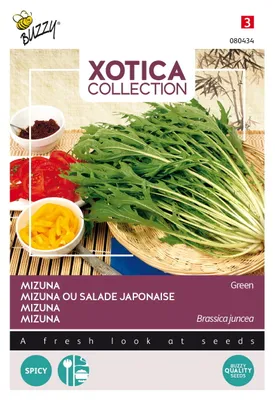 Produktbild von Buzzy Xotica Mizuna Samen - Ca. 10 gr | Buzzy_080434