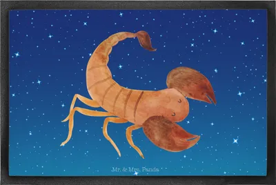 Produktbild von Mr. & Mrs. Panda fußmatte Sternzeichen Skorpion 60 x 90 cm - Sternenhimmel Blau - Geschenk, Skorpione, Oktober, Geburtstag November, Eingangsmatte, Schmutzfangmatte