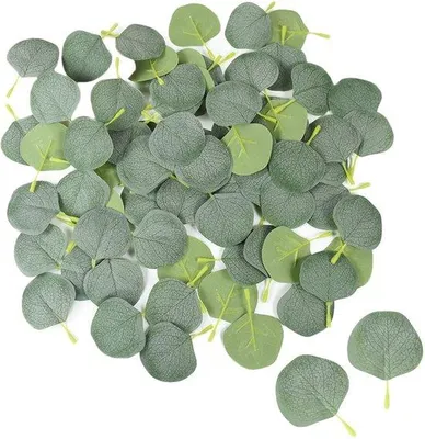 Immagine prodotto di Foglie di eucalipto artificiali, 200 pezzi, verdi
