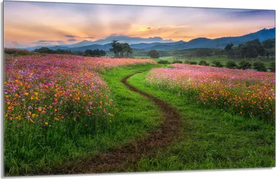 Image de Plaque de recouvrement pour cuisinière 80x52cm en 1 partie Couverture de plaque vitrocéramique Protection anti-éclaboussures, Paysage Montagnes