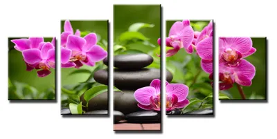 Obrázek produktu pro 5569 Orchideje Spa obraz na plátně 5-dílný 160x80 cm