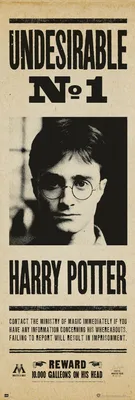 Produktbild von Harry Potter - Türposter - Undesirable No. 1 + 2 St Posterleisten Alu 63 cm