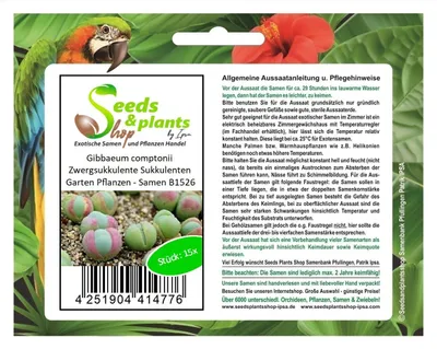 Produktbild von 15x Gibbaeum comptonii Zwergsukkulente Sukkulenten Garten Pflanzen - Samen B1526