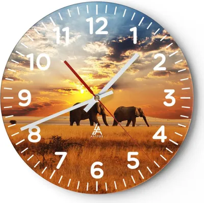 Produktbild von Wanduhr - Rund - Glasuhr - Elefanten Safari Dschungel Busch - 40x40cm - Schleichendes Uhrwerk - Lautlos - zum Aufhängen bereit - Dekoration Modern - Wanddekoration aus Glas - C4AR40x40-3150