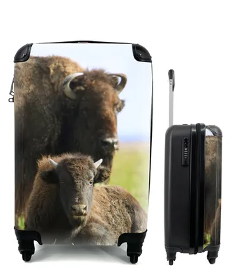 Produktbild von MuchoWow® Koffer Handgepäck Trolley Rollkoffer Kleine Reisekoffer mit 4 Rollen - Büffel - Gras - Kalb - Cabin Size < 55x40x23 cm & 55x40x20 cm - Fotokoffer - Kabinenkoffer - Boardgepäck - Reise-Box - Reisekoffer - Reisegepäck - Koffer mit Bild - Trolley für Kinder