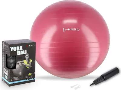 Obrázek produktu pro HMS 65 cm YB01 Rehabilitační cvičební míč