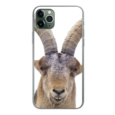 Produktbild von MuchoWow® Handyhülle Schutzhülle Hülle für iPhone 11 Pro Max Steinbock - Tiere - Hoorn Silikon Softcase Handy Hülle - Schutz