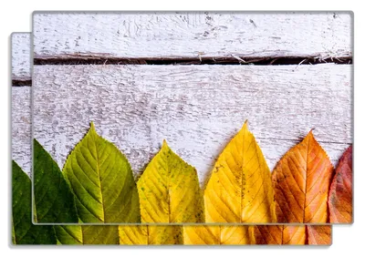 Produktbild von Wallario Frühstücksbrettchen 2er Set aus Glas, je 20 x 30 cm, mit rutschfesten Füßen, Motiv Bunte Herbstblätter auf hellem Holz