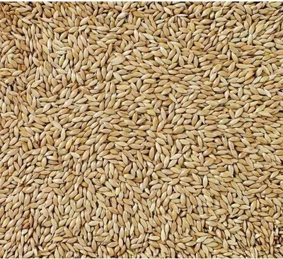 Productafbeelding van Deli Nature Witzaad/Kanariezaad 20KG
