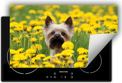 Produktbild von DarHaus Herdabdeckplatte 90x52 cm Anti Rutsch Matte Aufrollbar, Hund - Blumen