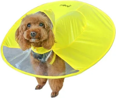 Produktbild von Wasserdichter Regenmantel für Hunde, gelb, mit Traktion