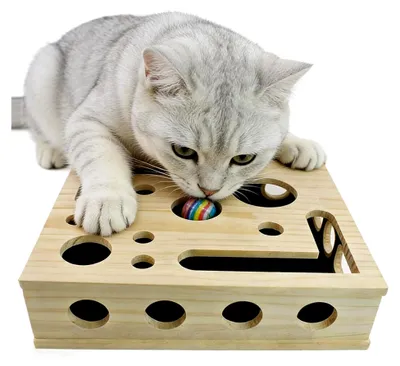 Produktbild von Kratzbrett für Katzen zur Nagelpflege und interaktiven Beschäftigung