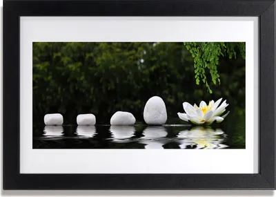 Produktbild von Bild 30x20 MDF-Rahmen Wandkunst Lotus Flower Seerose
