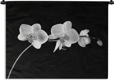 Produktbild von MuchoWow® Wandteppich Wandbehang Orchidee - Blumen - Schwarz - Rosa - Knöpfe 60x45 cm Tapisserie Dekoration Wandtuch - Das Schlafzimmer