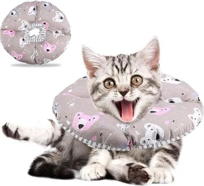 Produktbild von Famanu Katzenhalsband mit weichem Rand - Schutzkragen für Haustiere