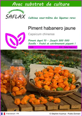 Image de SAFLAX - Piment habanero jaune - 10 graines - Avec substrat - Capsicum