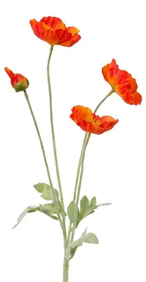 Productafbeelding van Clayre & Eef Kunstbloem Oranje, kunststof